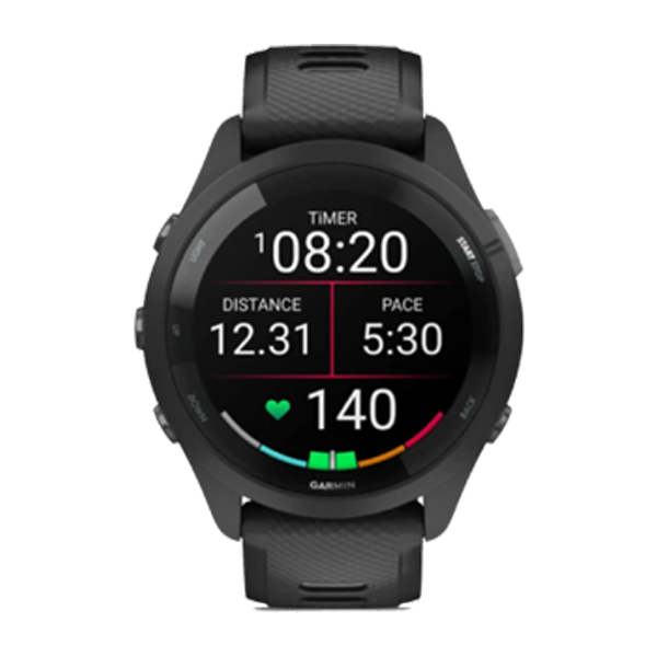 Garmin Watch Sat